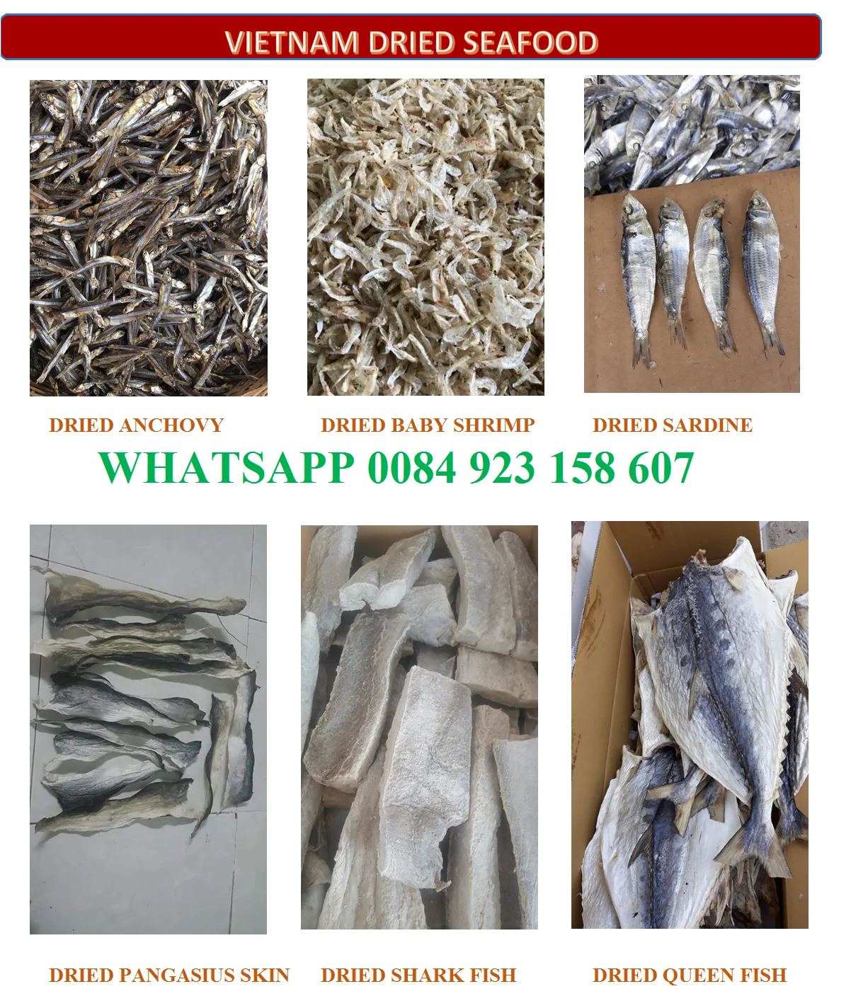 Vietnam Dry Anchovy Fish Anchois Whole,Headless,Split Anchovy Good