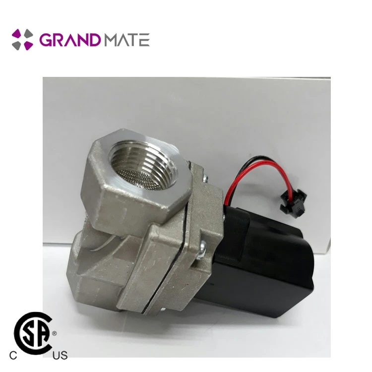 Gas Detector Pressure Regulator With Auto Shut off Valve