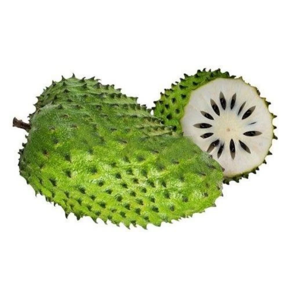 Blue soursop что за фрукт. Soursop. Гравиола. Creamy Soursop фрукт. Сметанное яблоко.