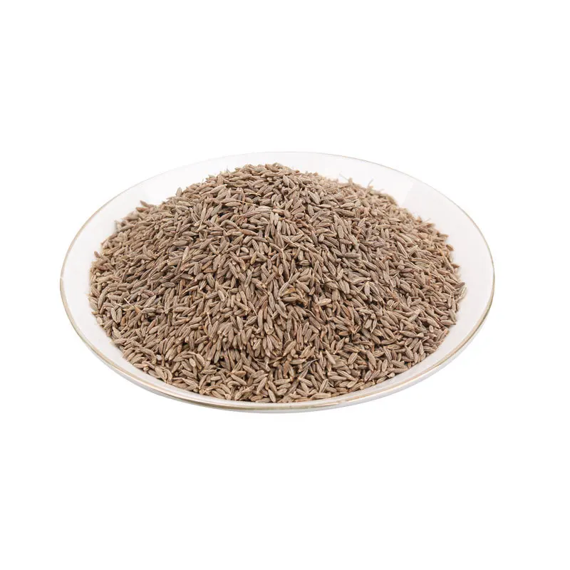 What Is Black Cumin Seeds In Tamil