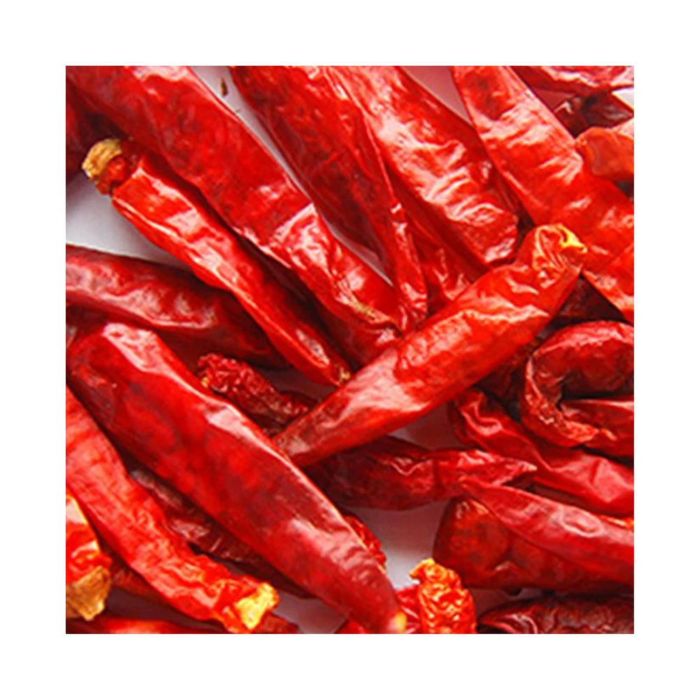 factory supply spices super hot spicy chili pepper red chili