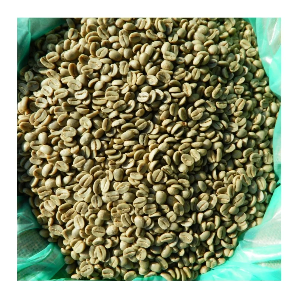 Wholesale Vietnamese High Quality Green Beans Coffee With Best Price Arabica Beans For Import Good Quality Raw Coffee Beans