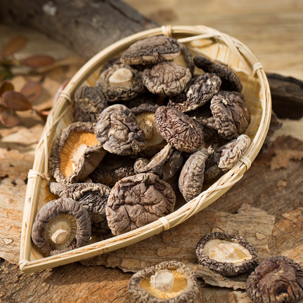 Лидер продаж натуральный сухой волшебные грибы для продажи