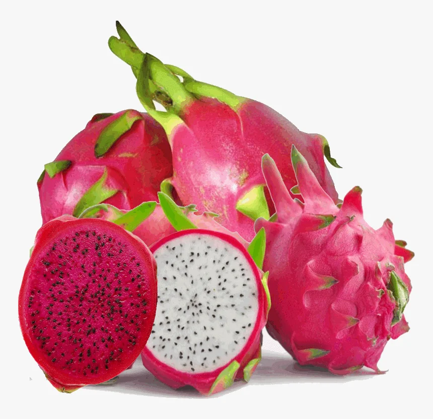 Buy Jumbo Vietnamese Pink Dragon Fruit (1 count)