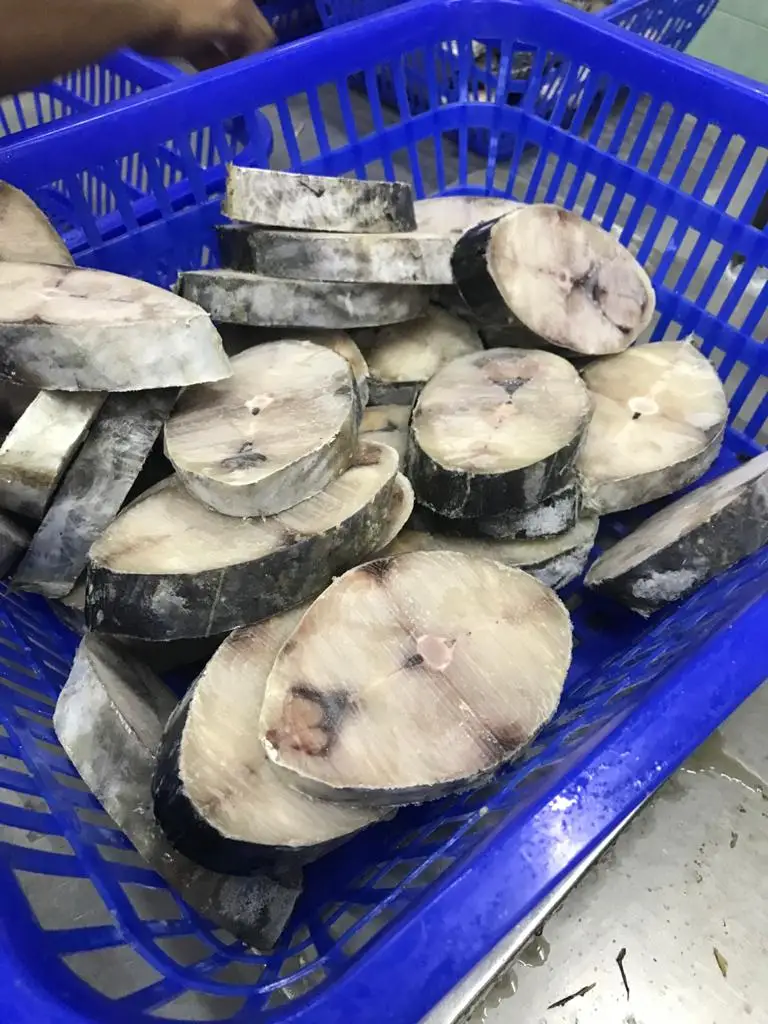 Best Premium Quality Fish (150200 Gm/pc) Bulk Packing 10 Kg/ctn Frozen