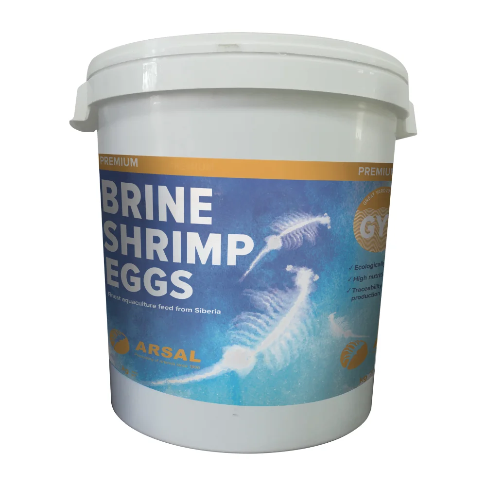 Hatching Rate 75%-85% Russian Wholesale Artemia Cysts Brine Shrimp Eggs In Plastic Bucket