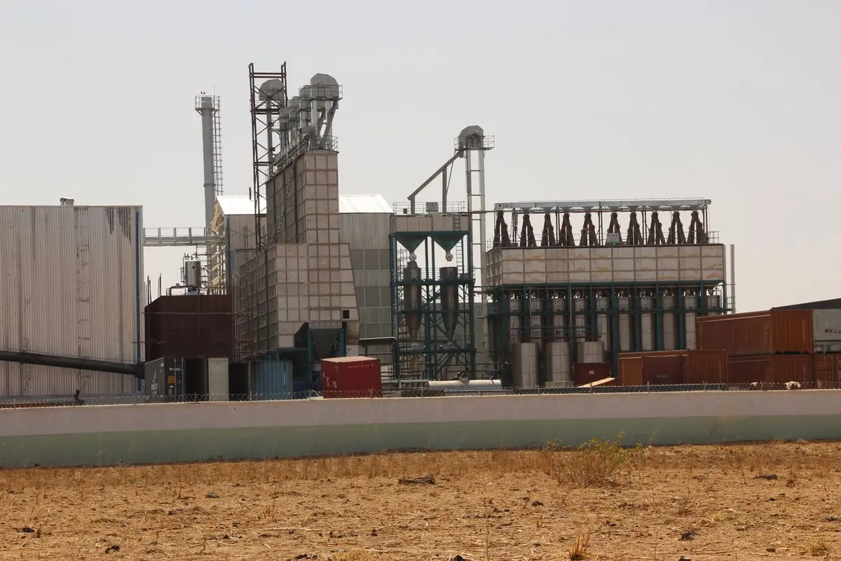 Extra Long Grain White Rice Wholesale Price Dried Durable Instant Cook