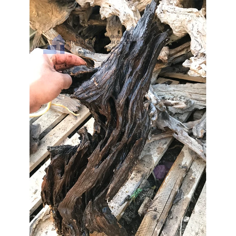 large pieces of driftwood for aquariums