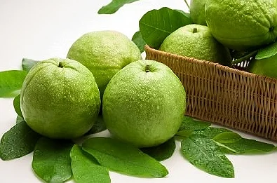 -Export-Guava.png