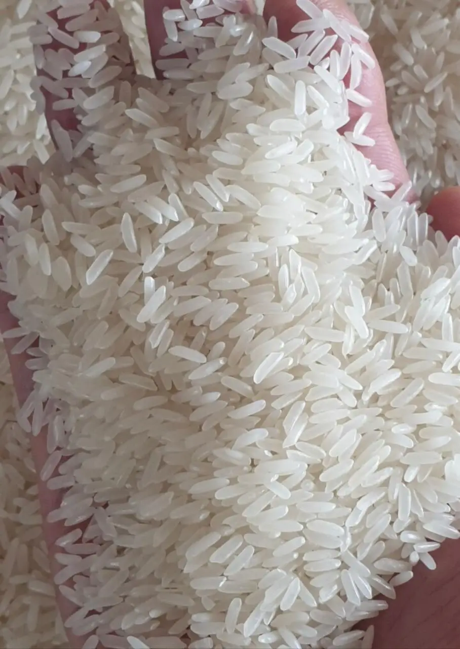 Jasmine Rice Riz Scented Rice Packing 1kg 5kg 10kg 25kg 50lbs Type Texture Variety Riz Arroz
