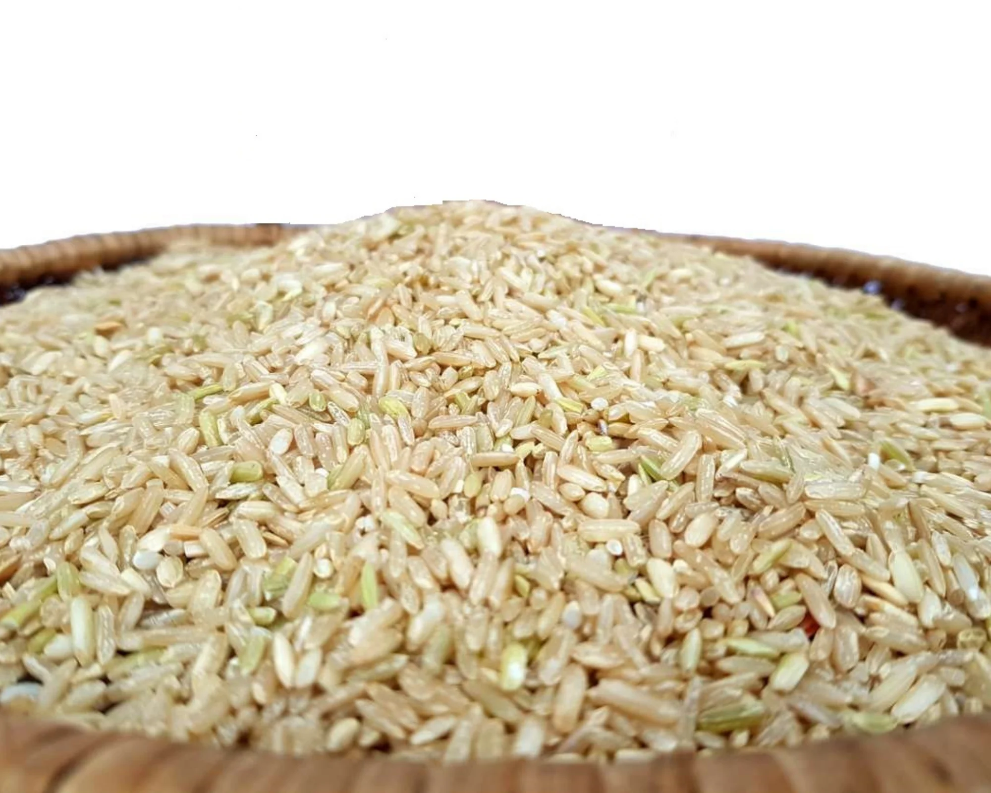 organic japonica rice,good for health,high quality vietnamese