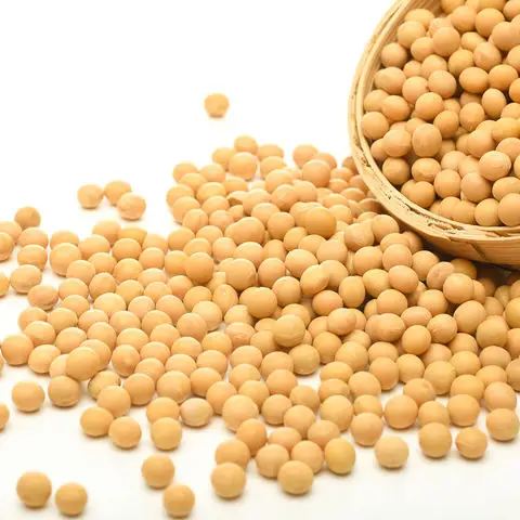 Soybeans-Organic (1).jpg