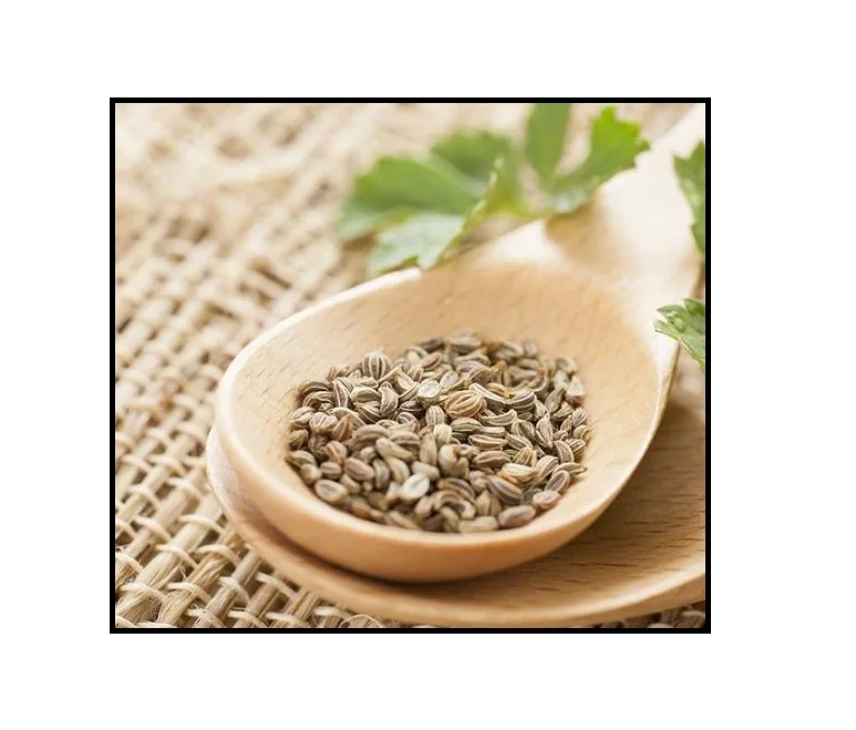 vietnam parsley seed oil manufacturer