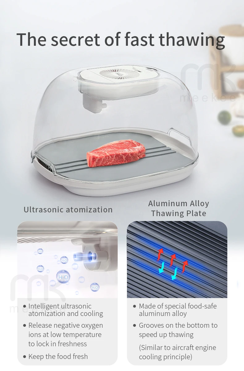 2022 Portable Thawingmachine Meat Defroster - Buy Quick Thaw Defrost ...