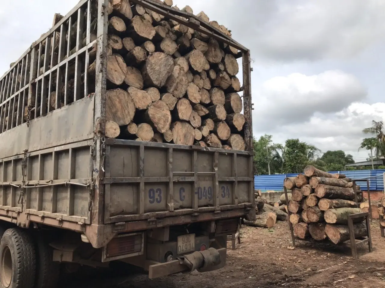 Cheap Price High Quality Rubber Sawn Timber / Wood Lumber For Furniture Material Flooring In