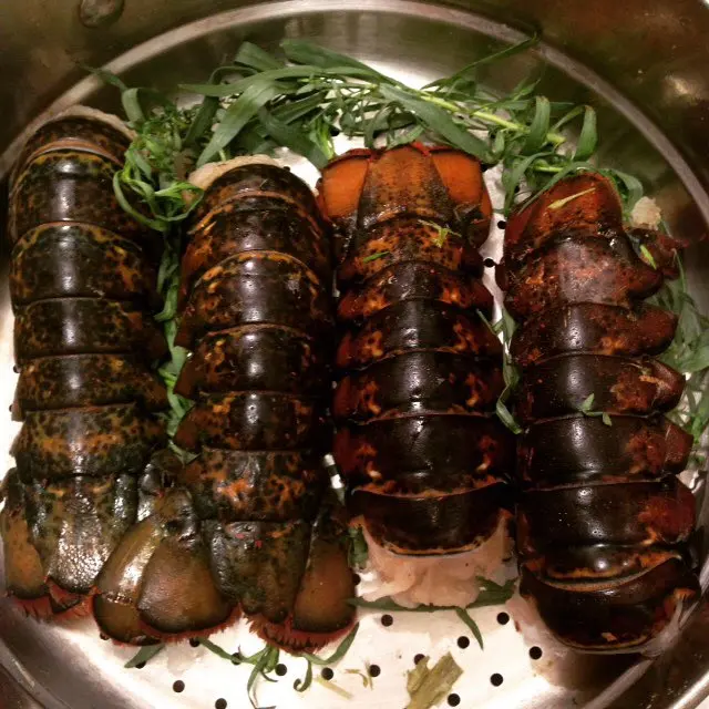 Live Lobsters Fresh Chilled Lobster Frozen Lobsters Tails Buy Frozen