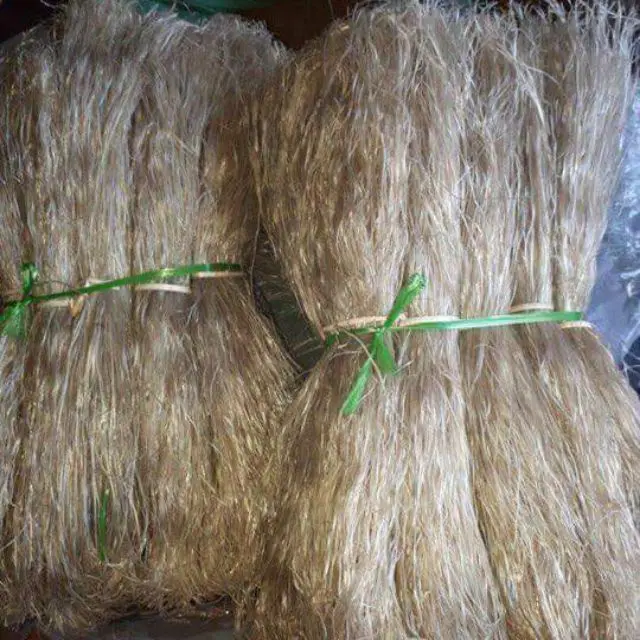 Reasonable Prices Arrowroot Vermicelli Made in Vietnam