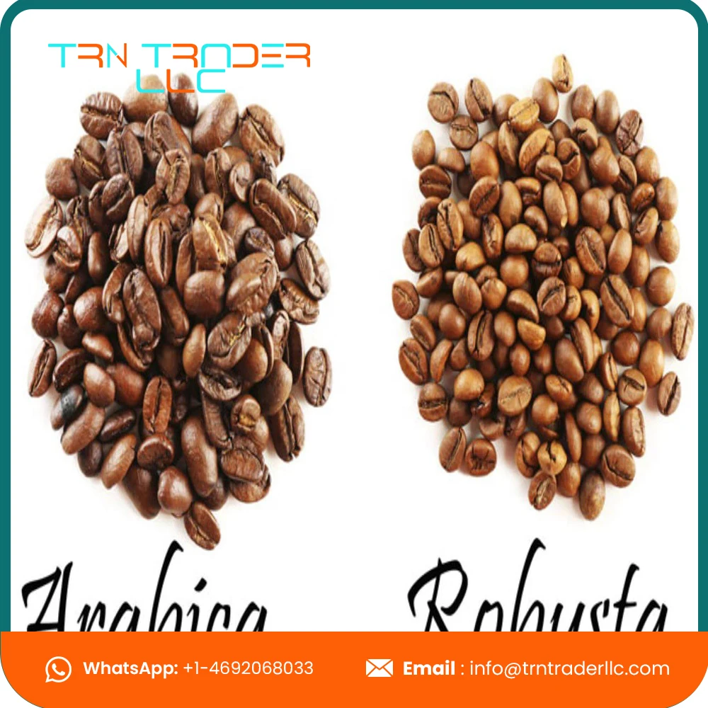 100% упаковка органических пакетов жаренарабика и робуста кофейные зерна по низкой цене