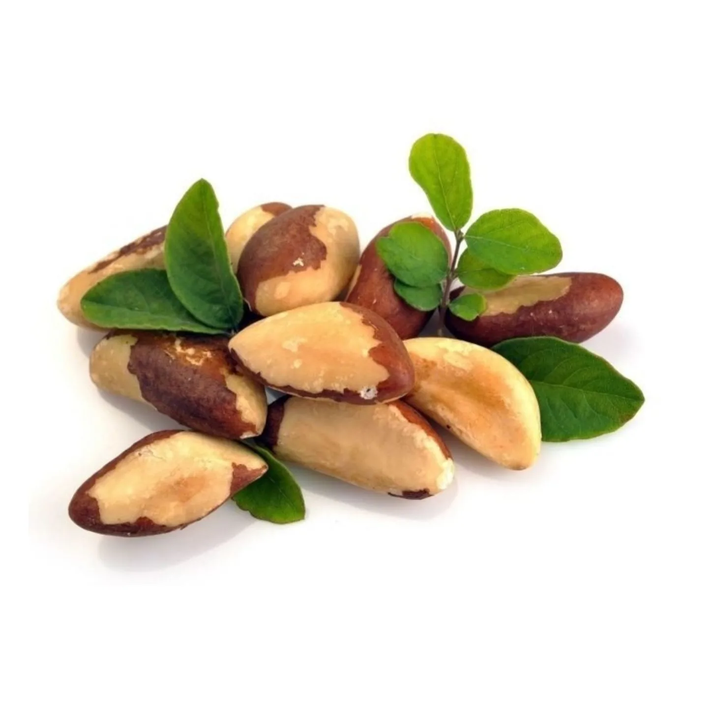 100% pure and organic natural high quality brazil nuts - buy nat
