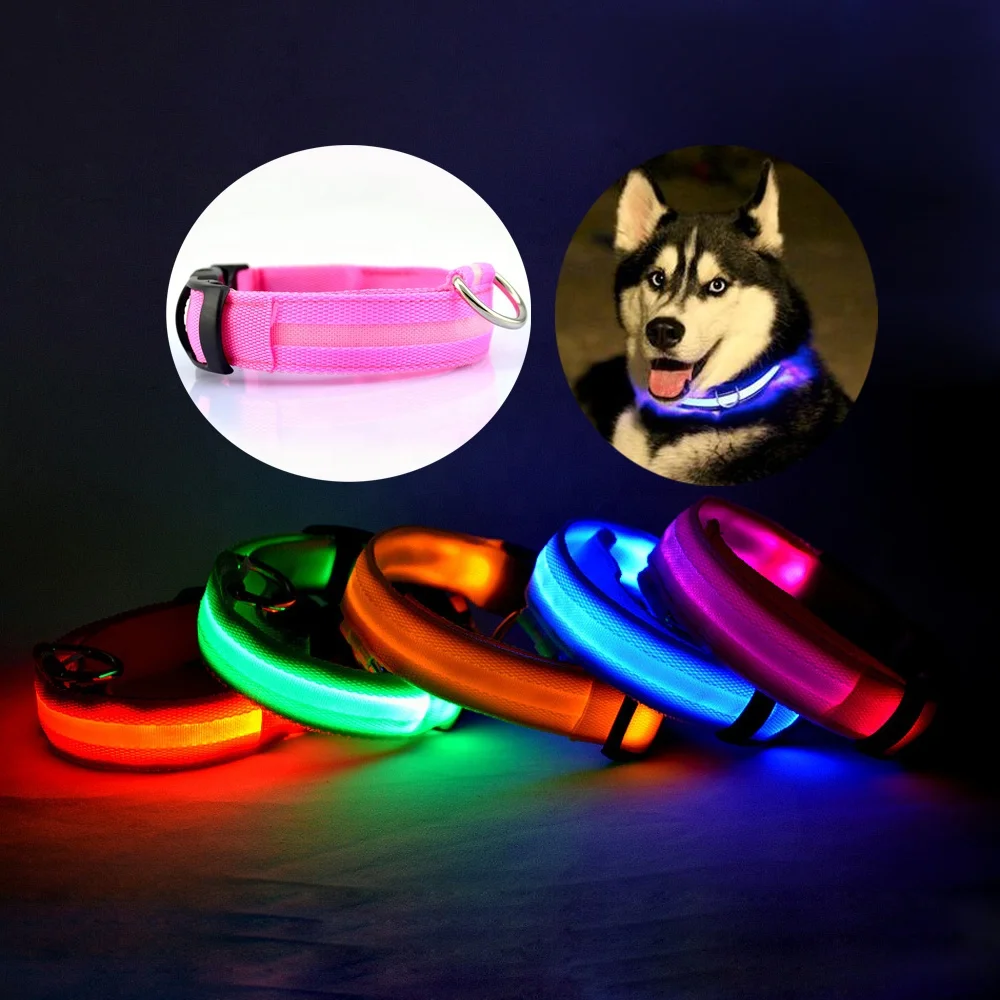nylon led dog collar
