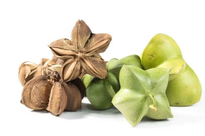 Высококачественные органические орехи sacha inchi/вкусные семена inchi из