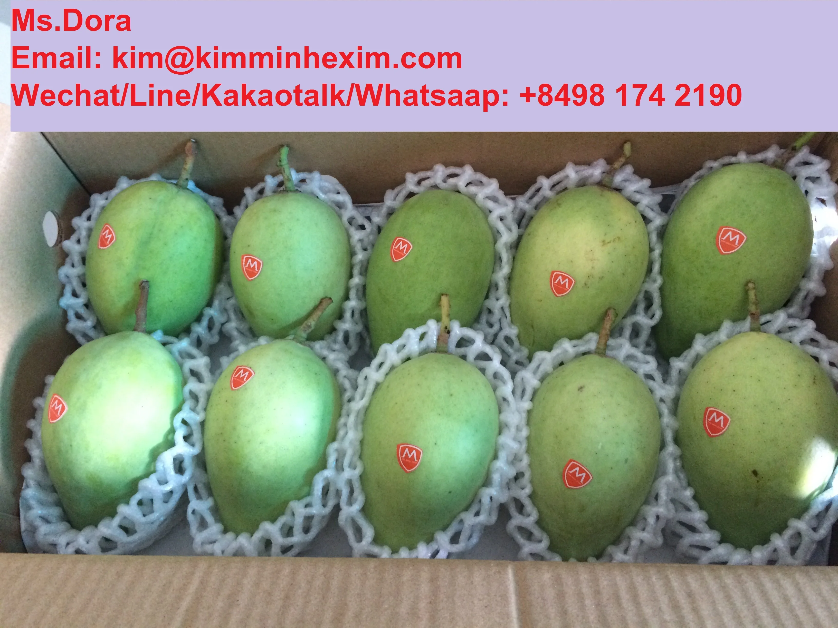 2022 Premium Fresh Mango/Mango Sweet Mango VietNam