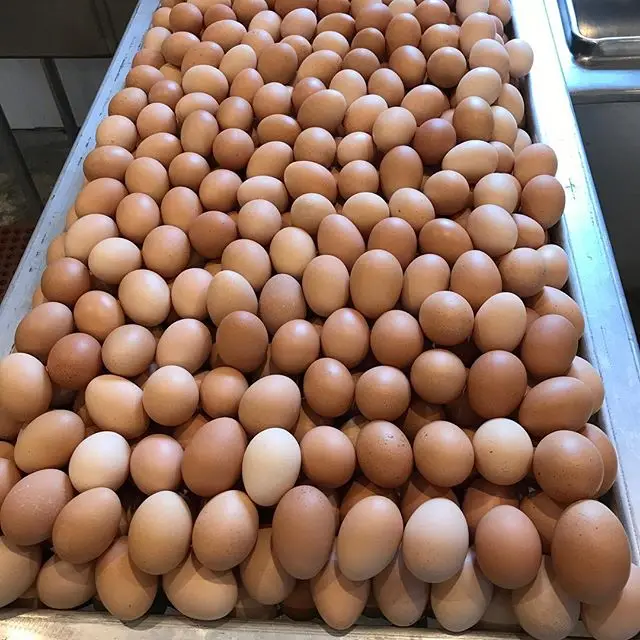 eggsss.jpg