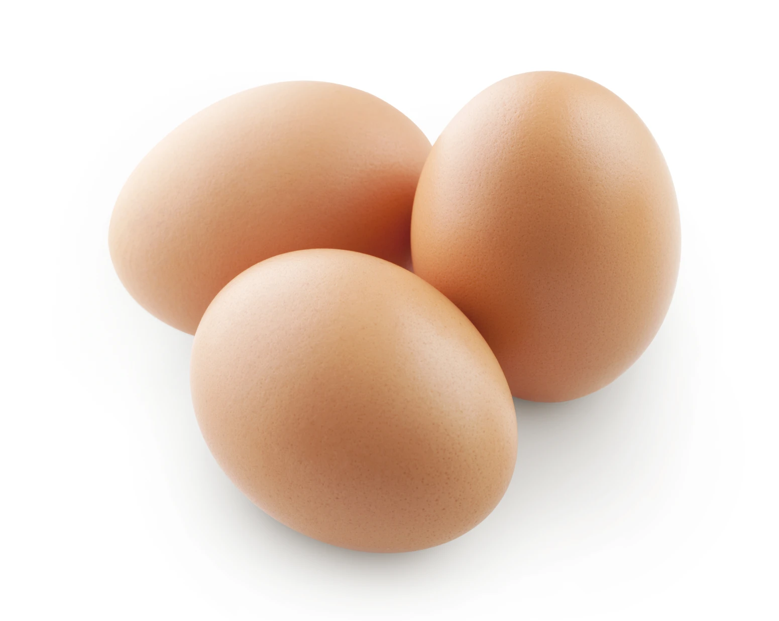 фото 1 куриного яйца