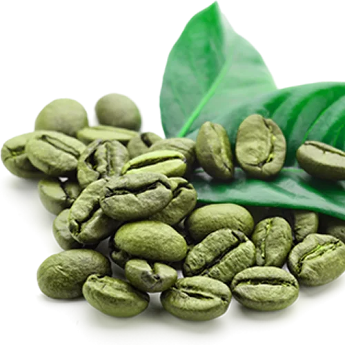 Green Coffee Bean 400mg Jarrow Formulas, 60 capsule, Secom