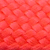 PN019
