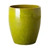 Avocado Green