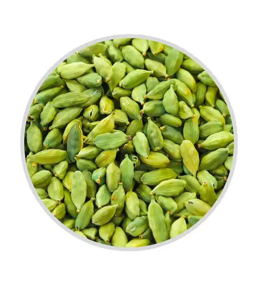 green cardamom bulk [lg   llg] best quality wholesale - buy