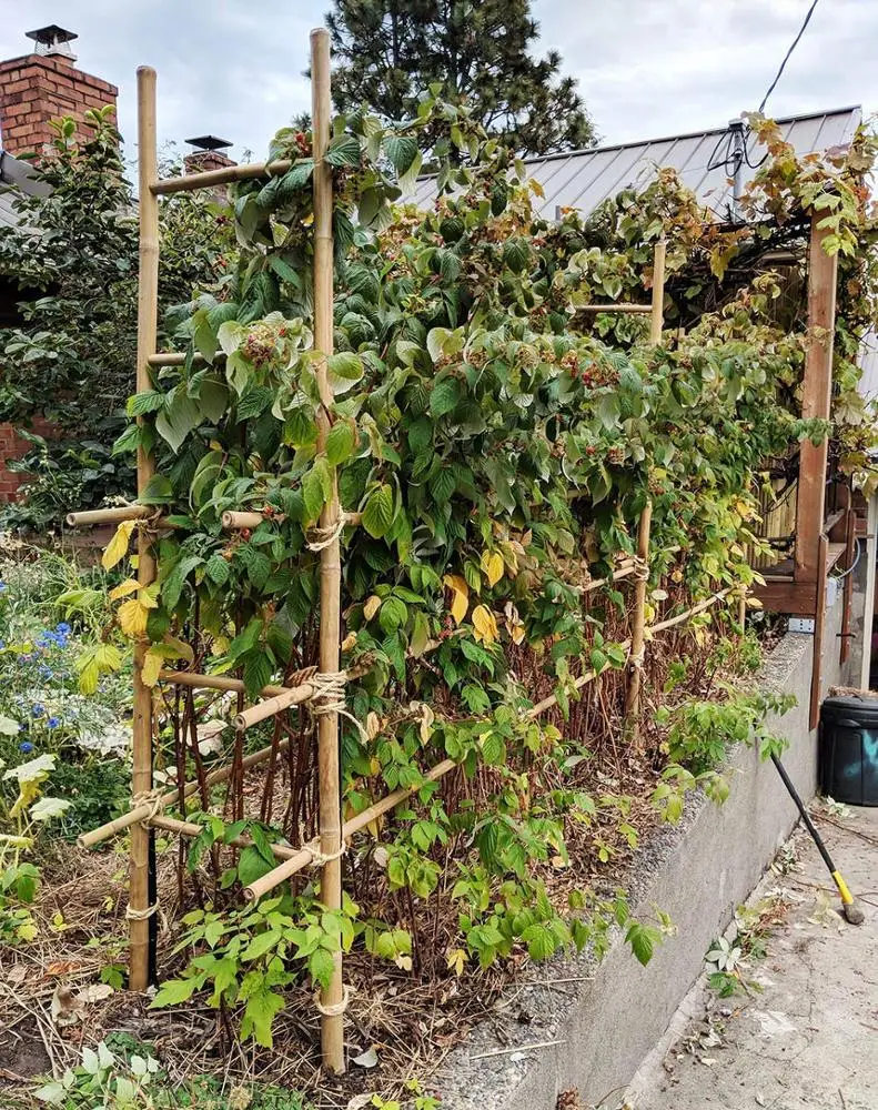 Натуральная бамбуковая лестница для дома Decore