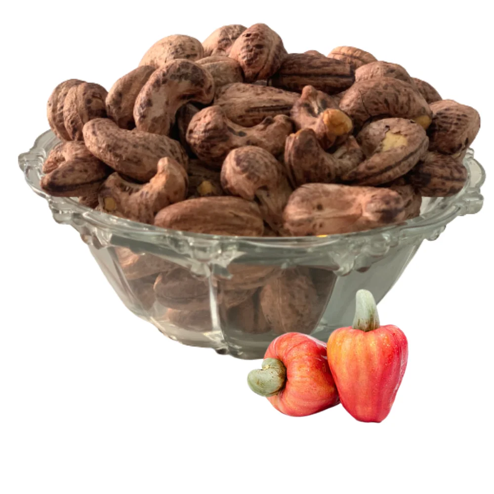 High Quality Roasted Cashew Nut Viet Nam Brand Hiva's Cashew Grade W240