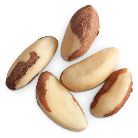 raw brazil nuts / brazilnuts / organic brazil nuts / chestnuts f