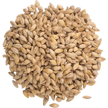 wholesale organic malt barley,hulled barley,pearl barley - buy