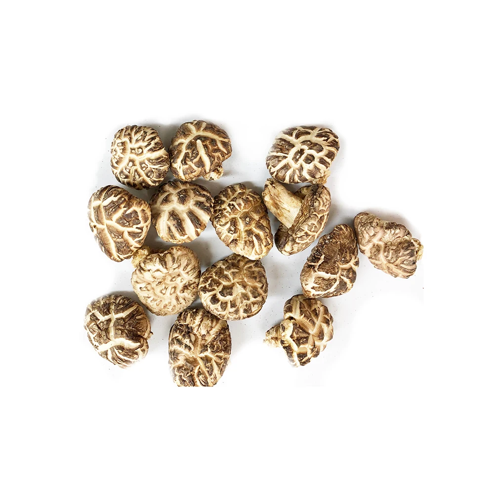 Сушеные замороженные грибы из дикой коричневой еды