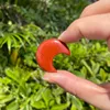 Red JASPAR
