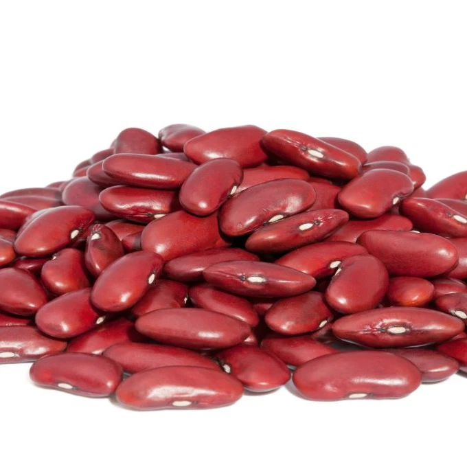 buy jumbo red kidney beans for sale