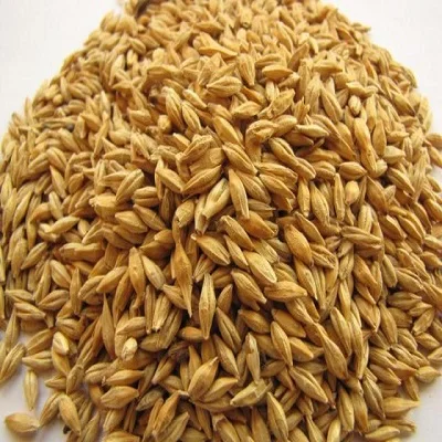 Качество пшеничные зерна