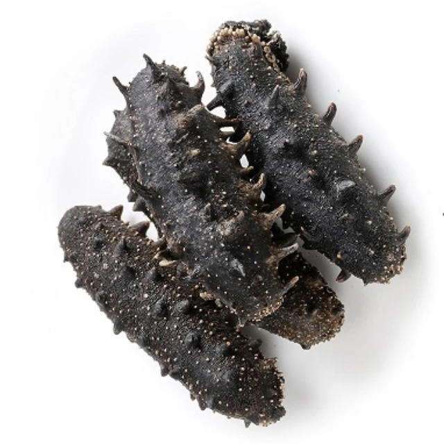Sea Cucumber Best Quality Sun Dried Sea Cucumber Fresh Frozen BQF