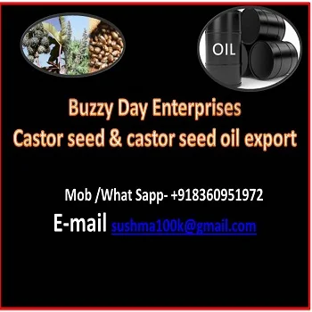 Buzzy Day -x054.jpg