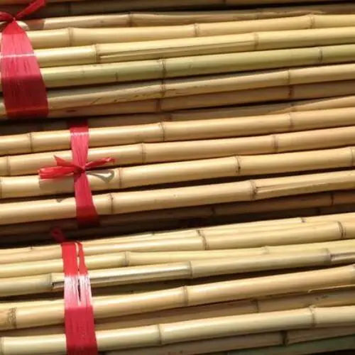 Садовая сушеная бамбуковая трость, бамбуковая палочка, бамбуковая палочка для plantns/бамбуковые трости/бамбуковая палочка