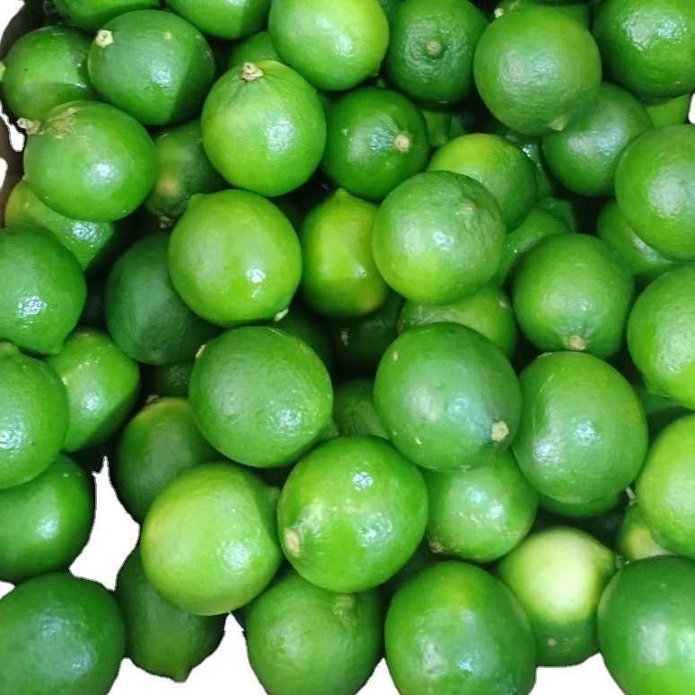 Fresh Seedless Lime Best Quality For Sale,Call +84984418844w Buy Fresh Lime From Vietnam Best