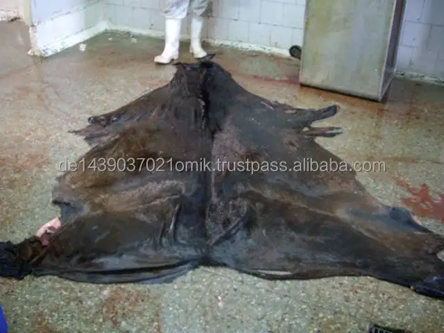 cow hide.jpg