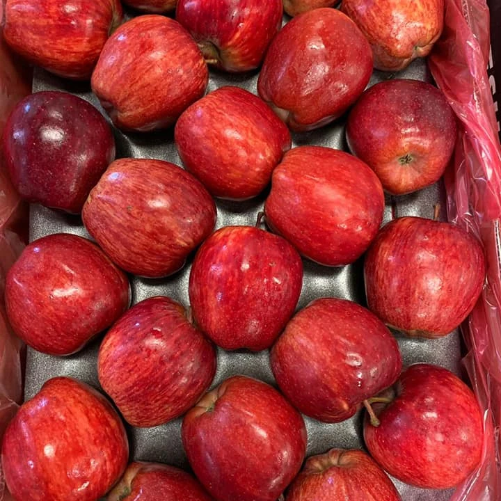 Gala Apples 1-Pound – Suji Fresh