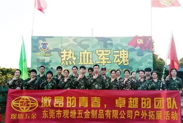 Dongguan Chengyang Hardware Co., Ltd.