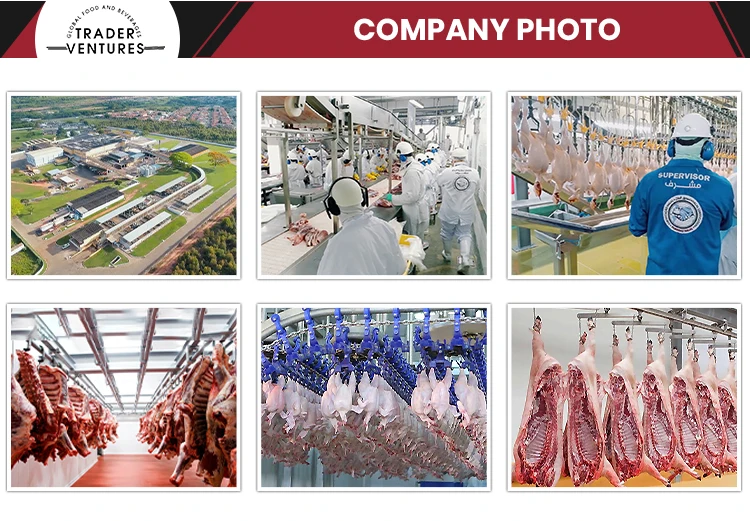 Company-Photo.jpg