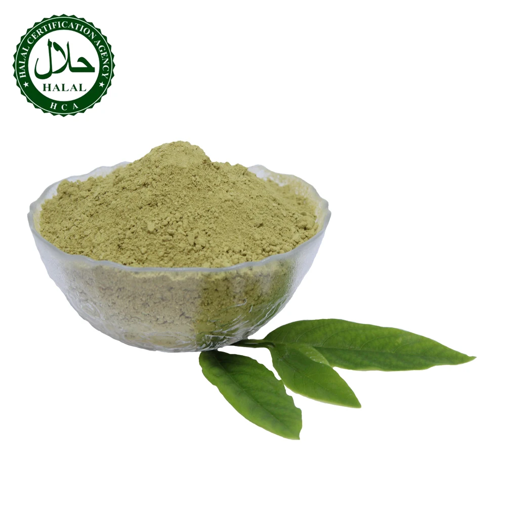 Pure Rajasthani Henna Powder 100 Superb Quality Indian And Export Bulk