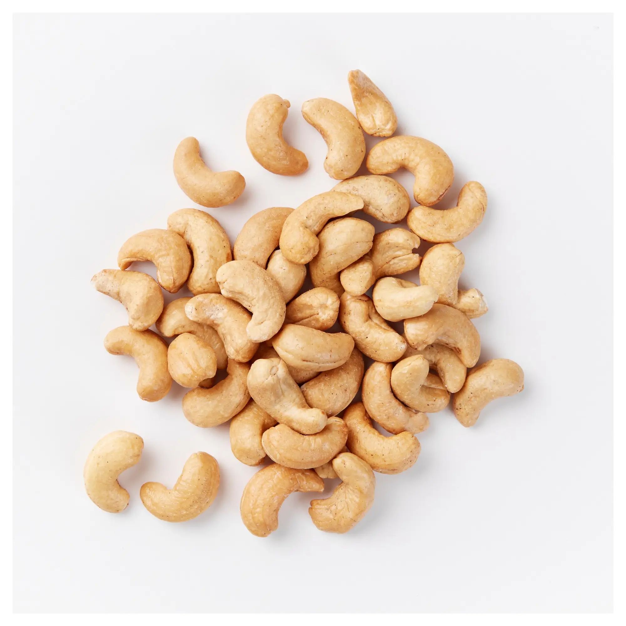 Best Price High Quality Cashew Kernel W240 W320 In Vietnam Buy Cashew Nut Kernel Cashew Kernel W240 Cashew Nut Raws Product On Alibaba Com